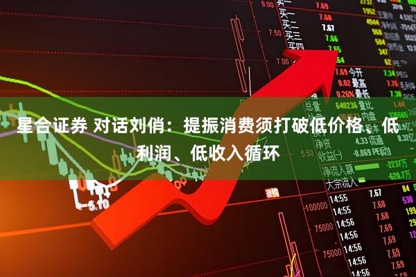 星合证券 对话刘俏：提振消费须打破低价格、低利润、低收入循环